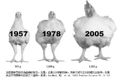 KY开元·(中国)集团-官网