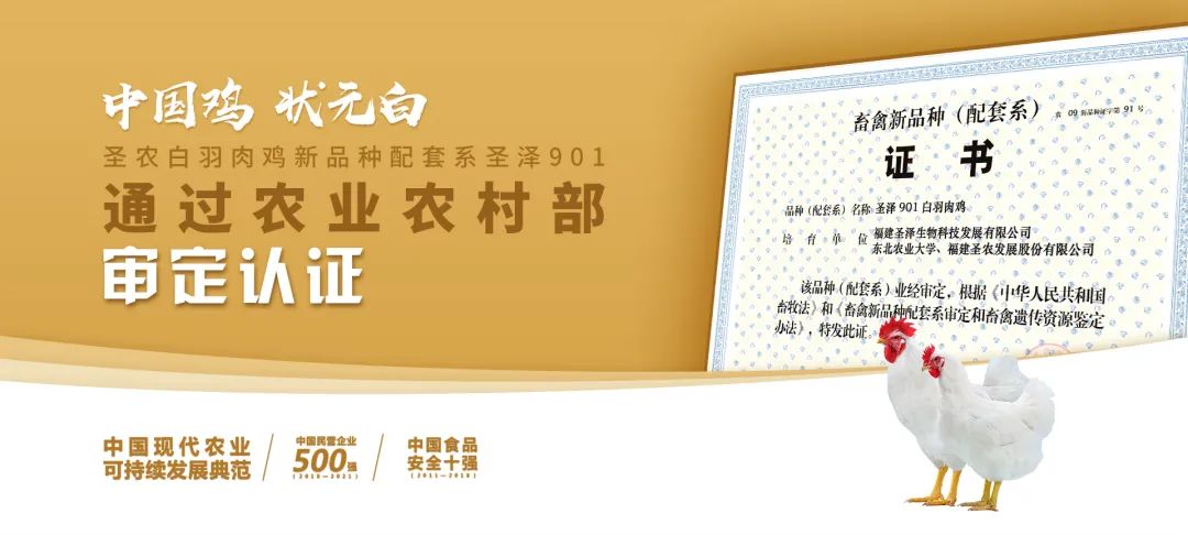KY开元·(中国)集团-官网