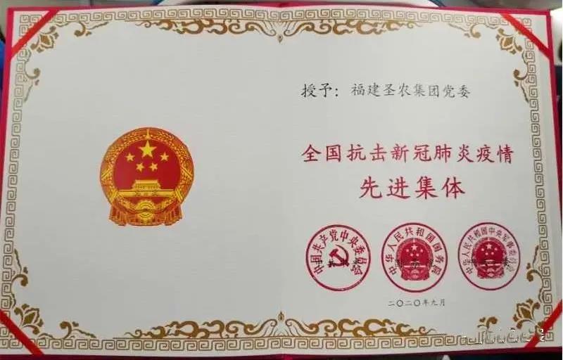 2020天下抗击新冠肺炎疫情先进整体
